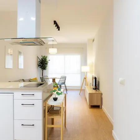 Recien Reformado Anoreta Premium Apartment